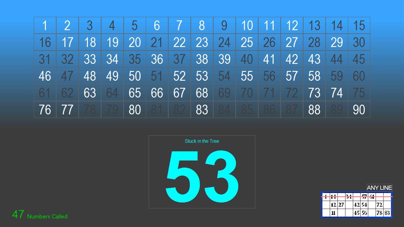 bingo caller app for laptop